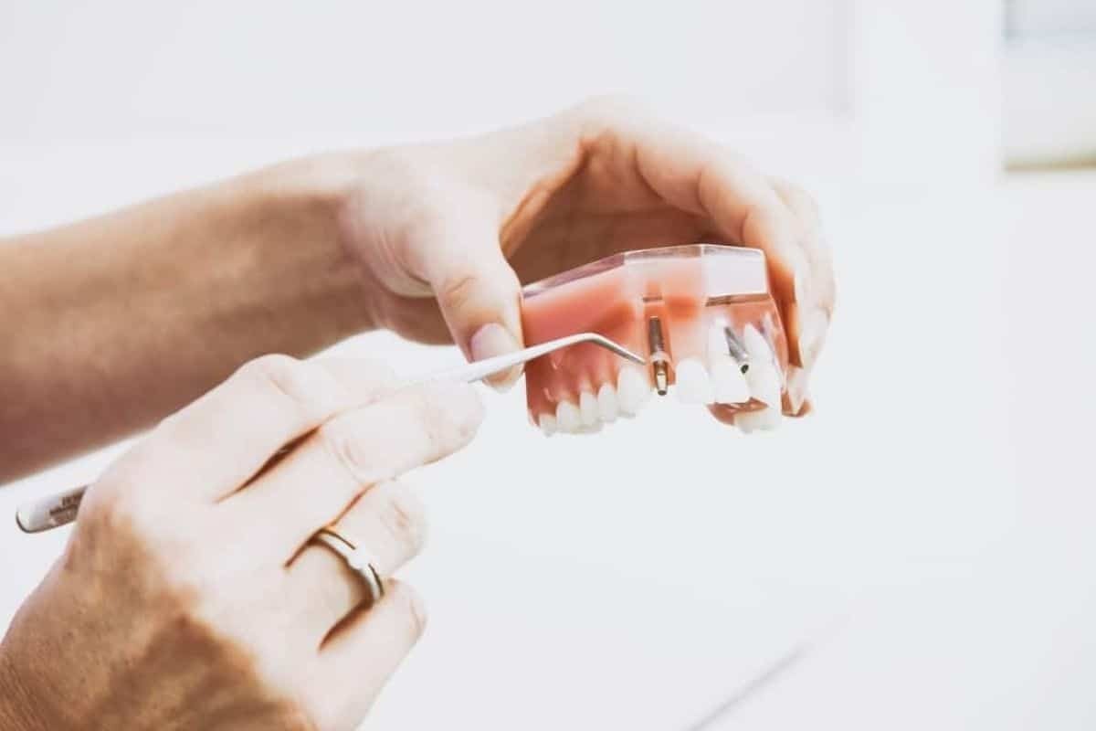 Dentist examining new dentures held in hands during patient consultation.